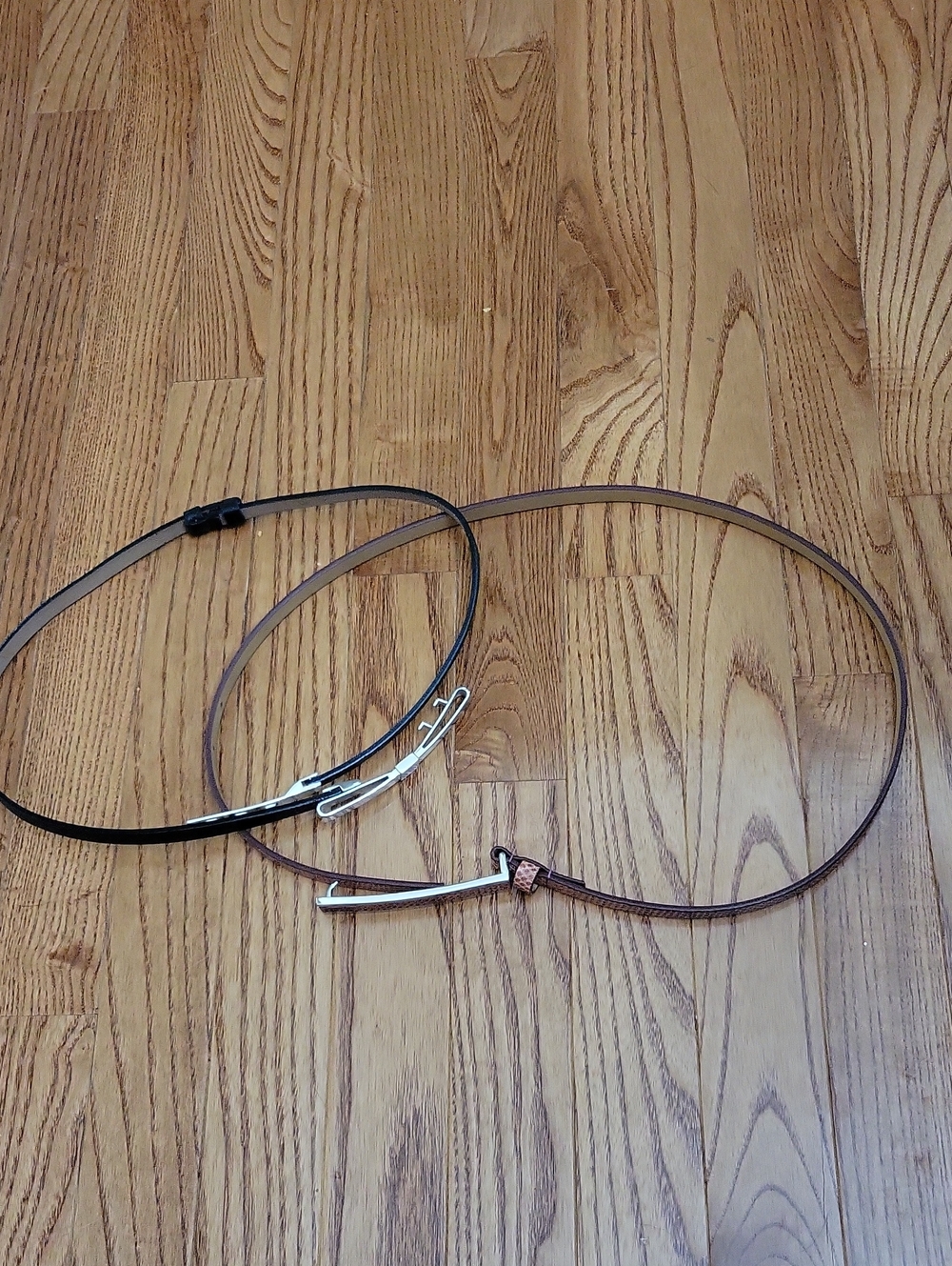 2 Skinny Belts